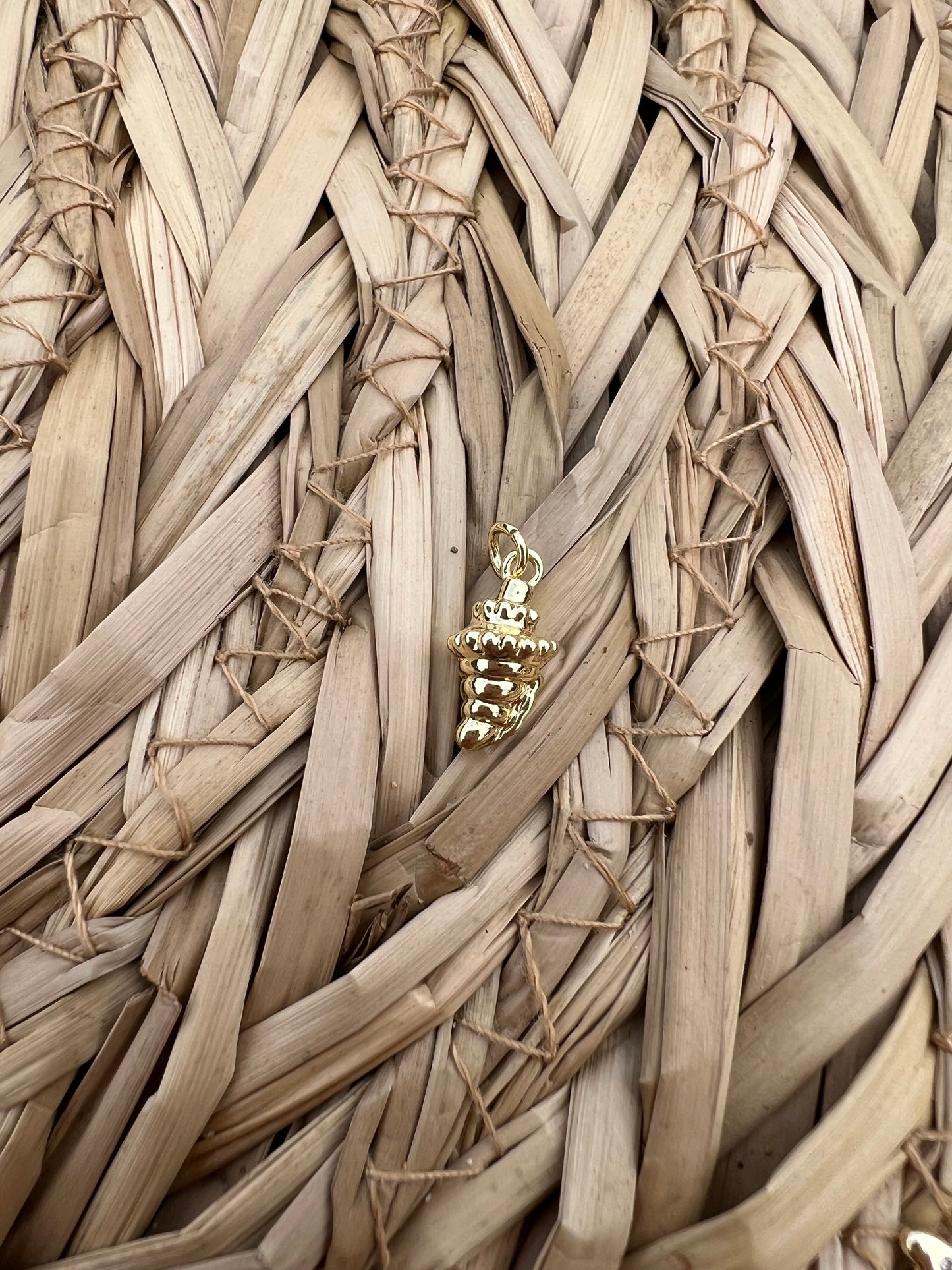 Dainty Sea Shell (18K Gold Filled)