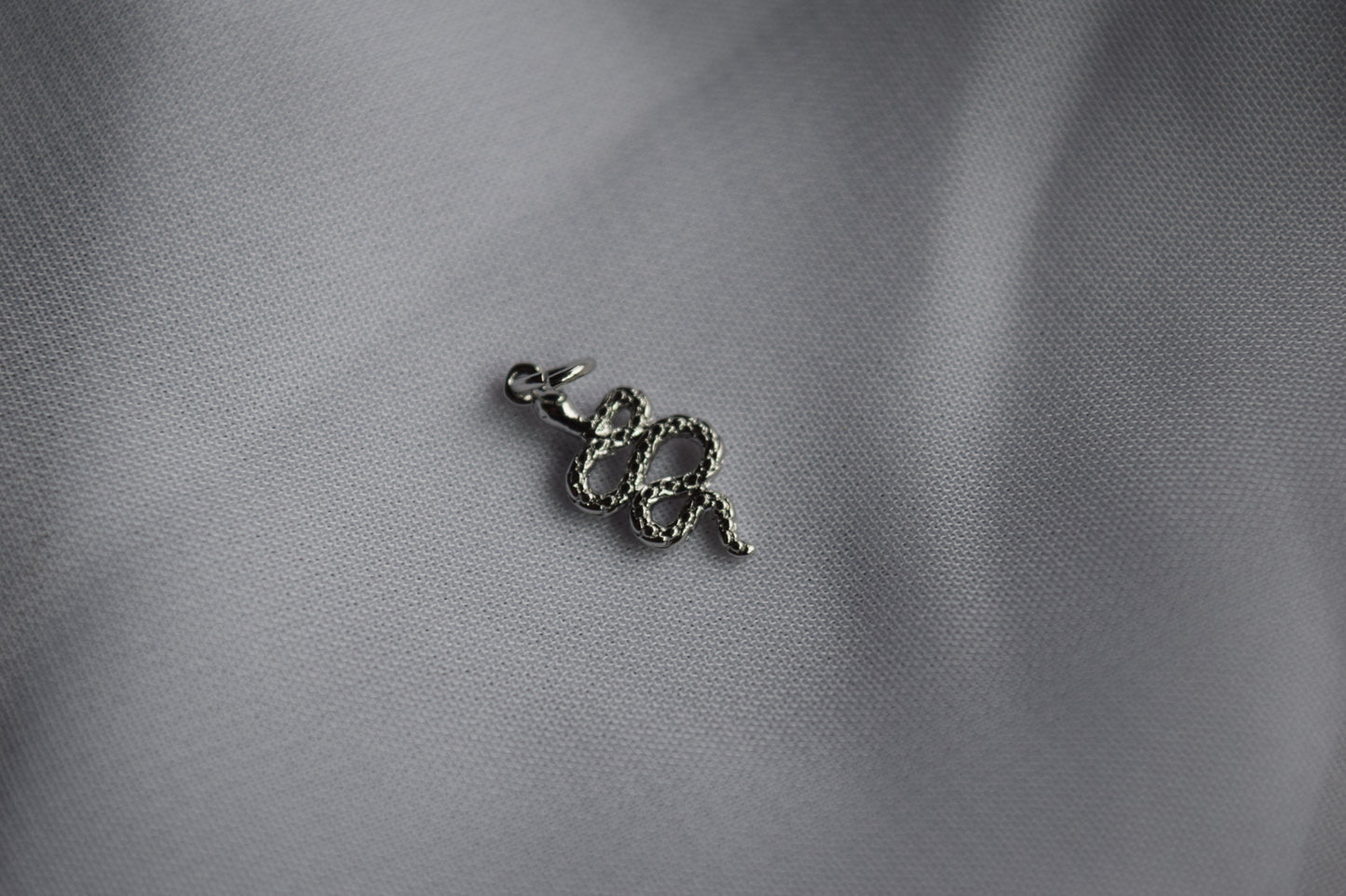 Snake Charm Silver