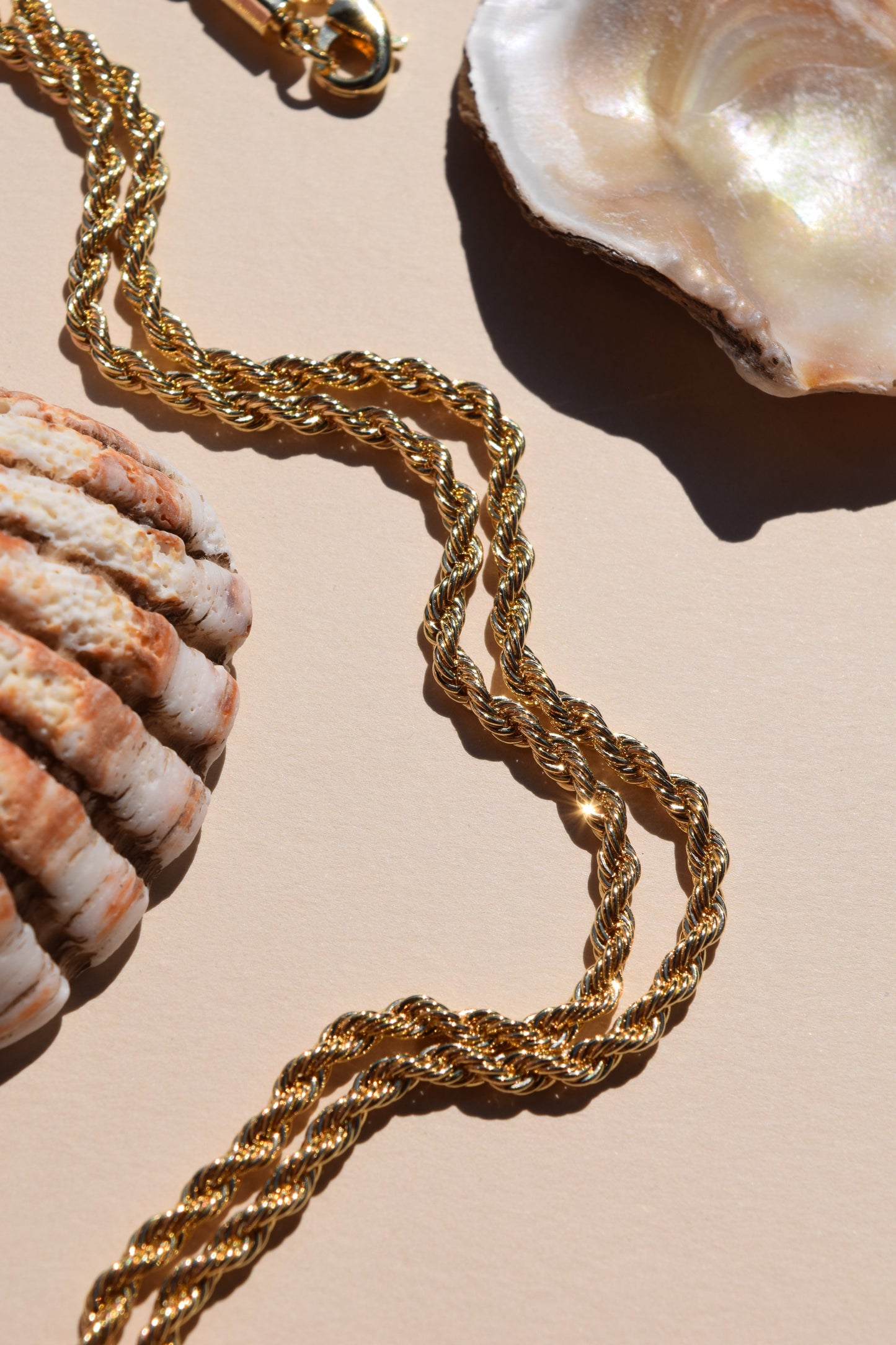 Amanda Rope Necklace (18K Gold Filled)