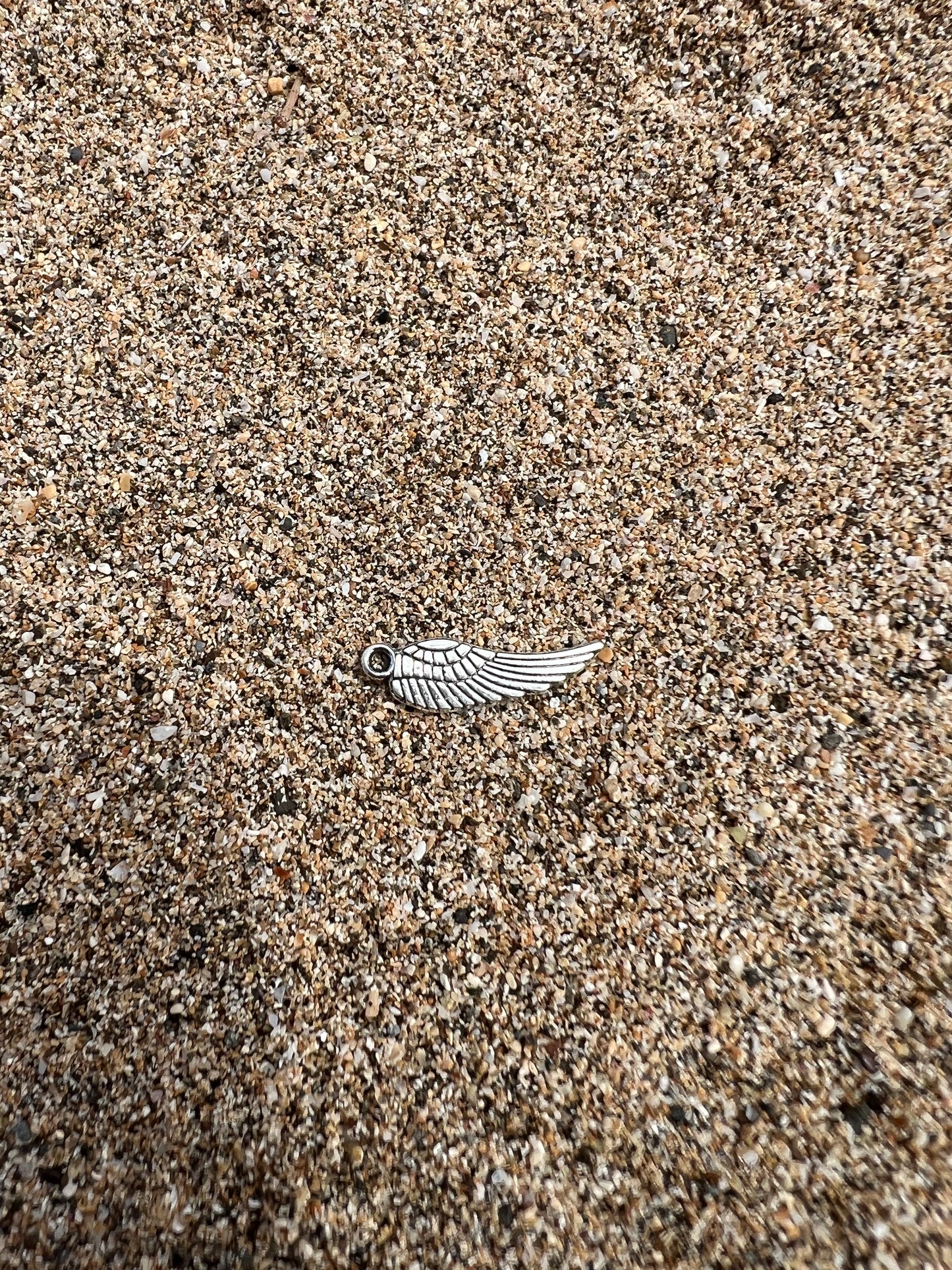 Silver Angel Wing