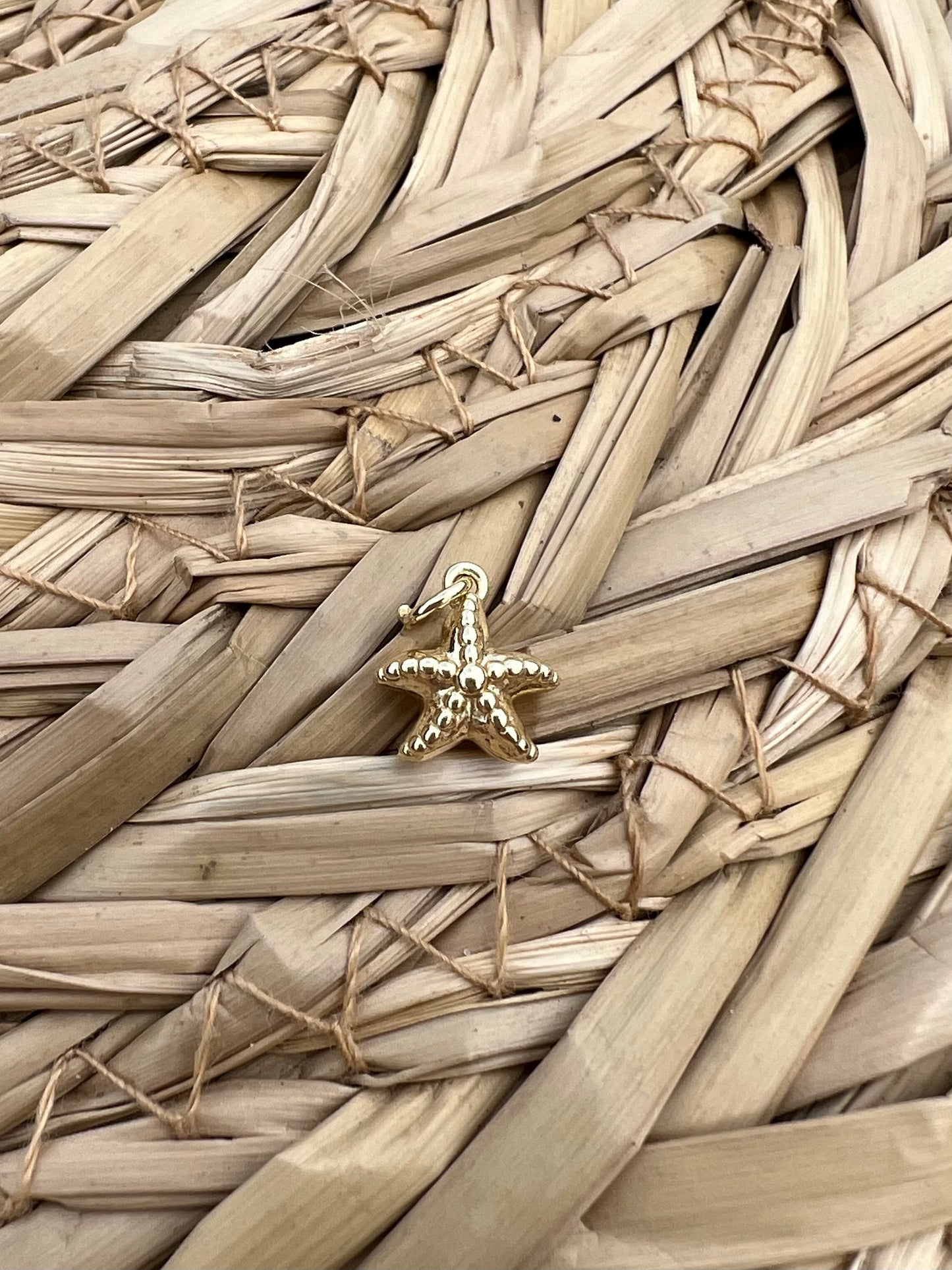 Starfish Charm (18K Gold Filled)