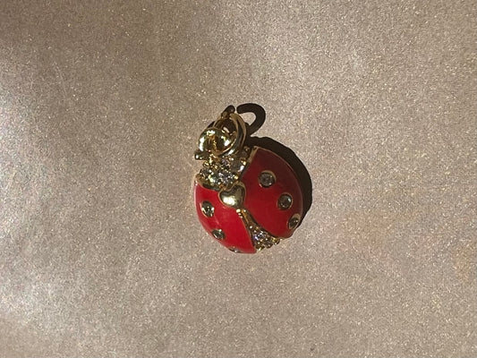 Lady bug charm