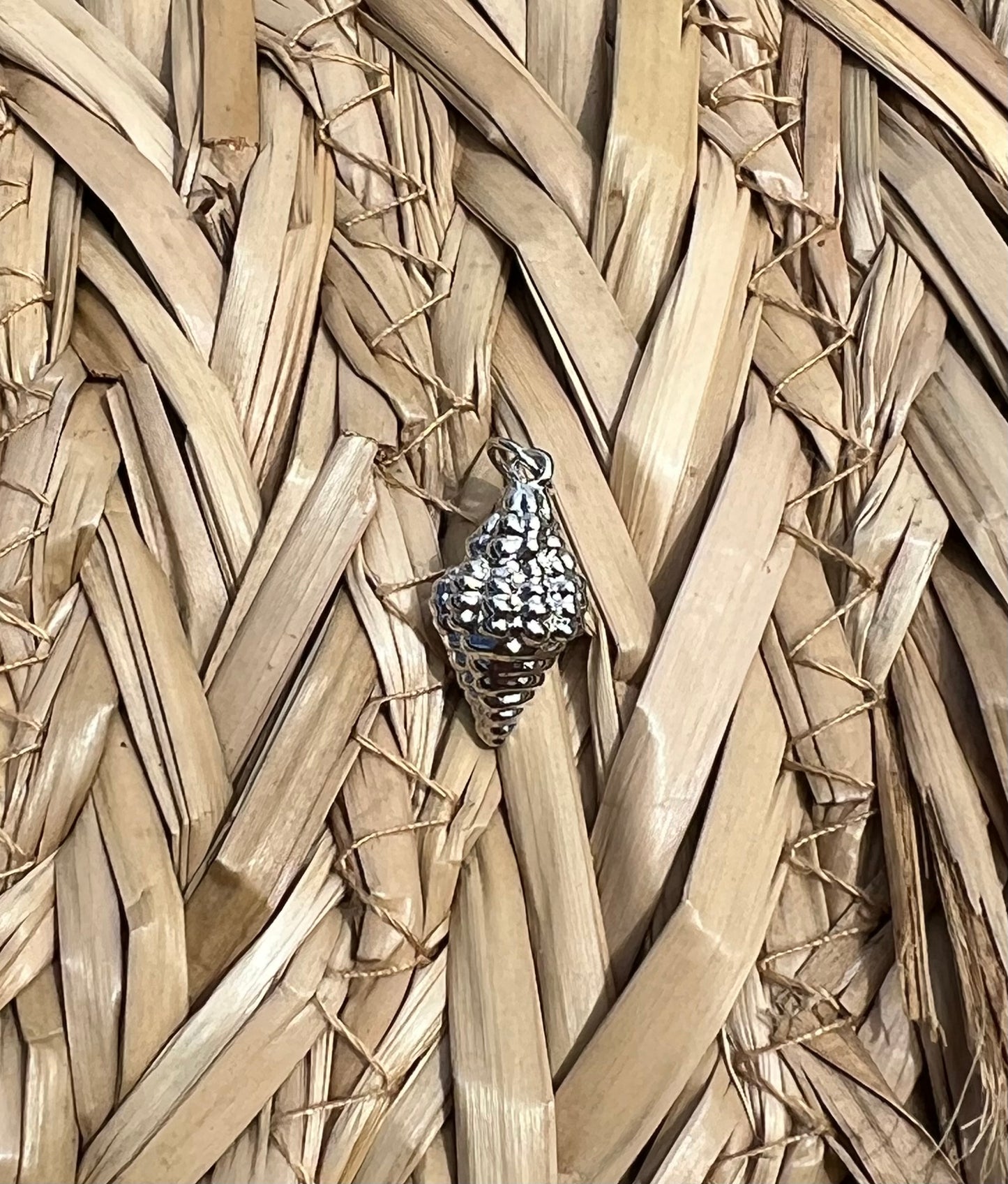 Large Silver Sea Shell