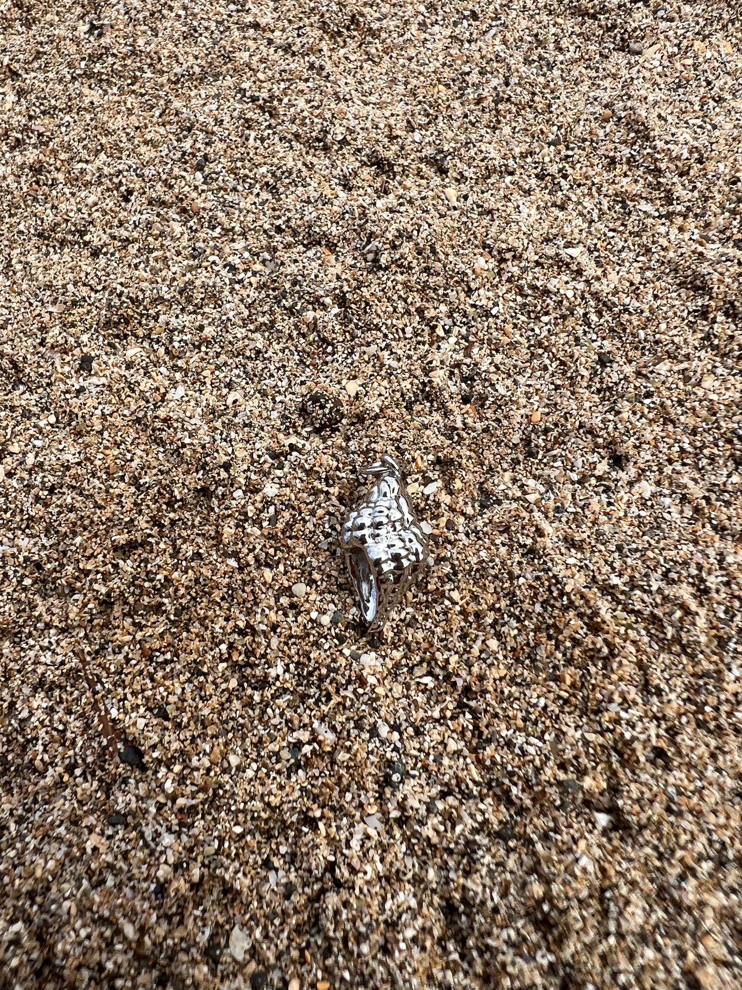 Large Silver Sea Shell