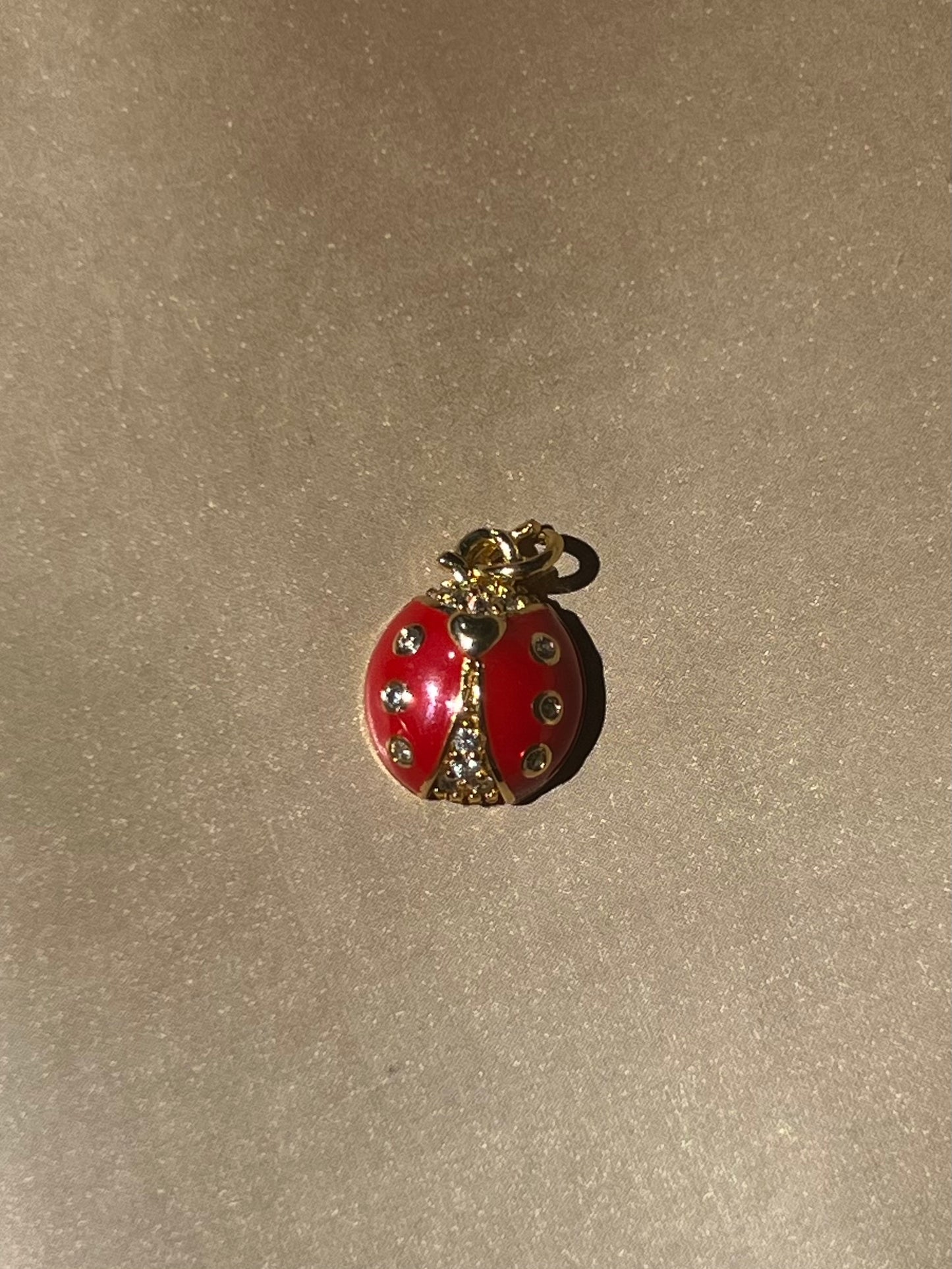 Lady bug charm